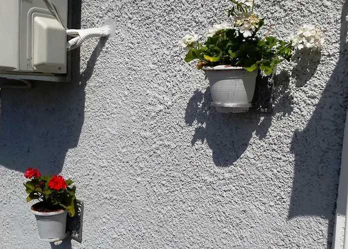 Appartement Princip Orlec