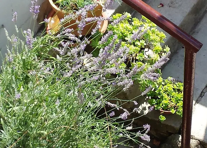 Princip Appartement *