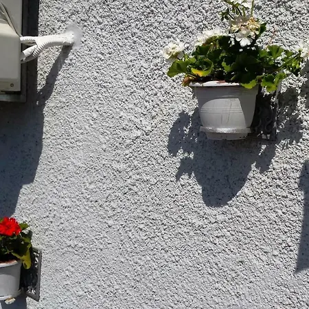 Apartament Princip Orlec